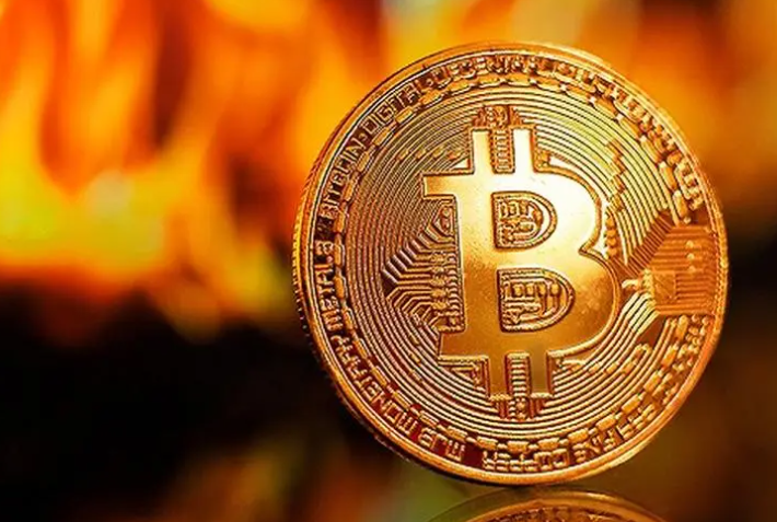 幣圈量化機(jī)器人服務(wù)器費用